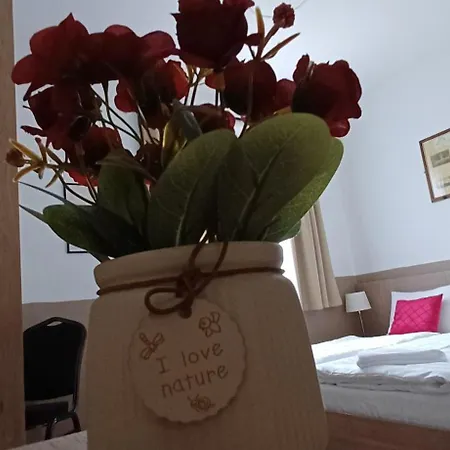 Vighajos Panzio B&B 4*